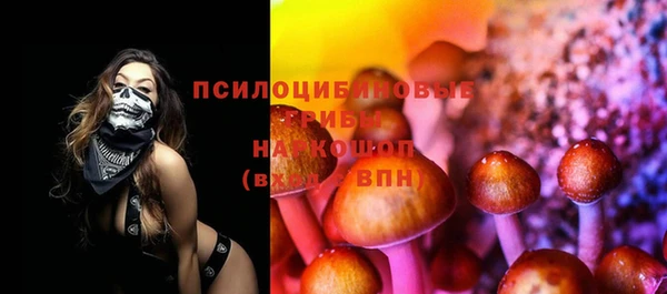 твердый Каменногорск