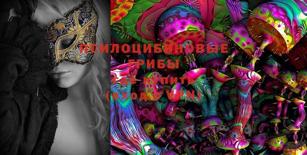 твердый Каменногорск